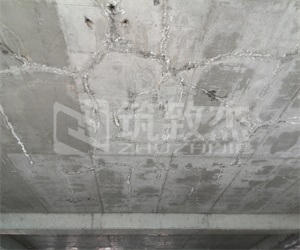 下载app送58元体验金