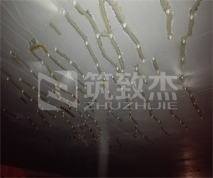 下载app送58元体验金