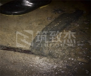 下载app送58元体验金